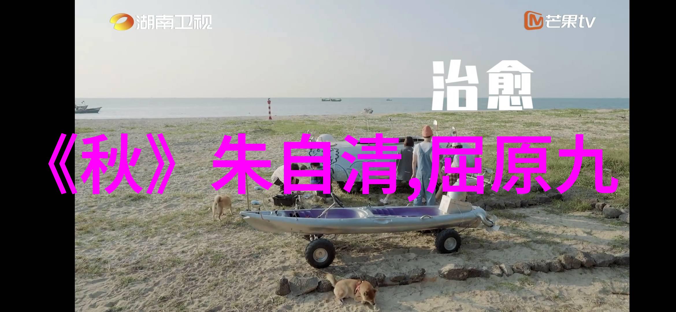崔橹 简介