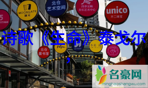 蔡孚 简介
