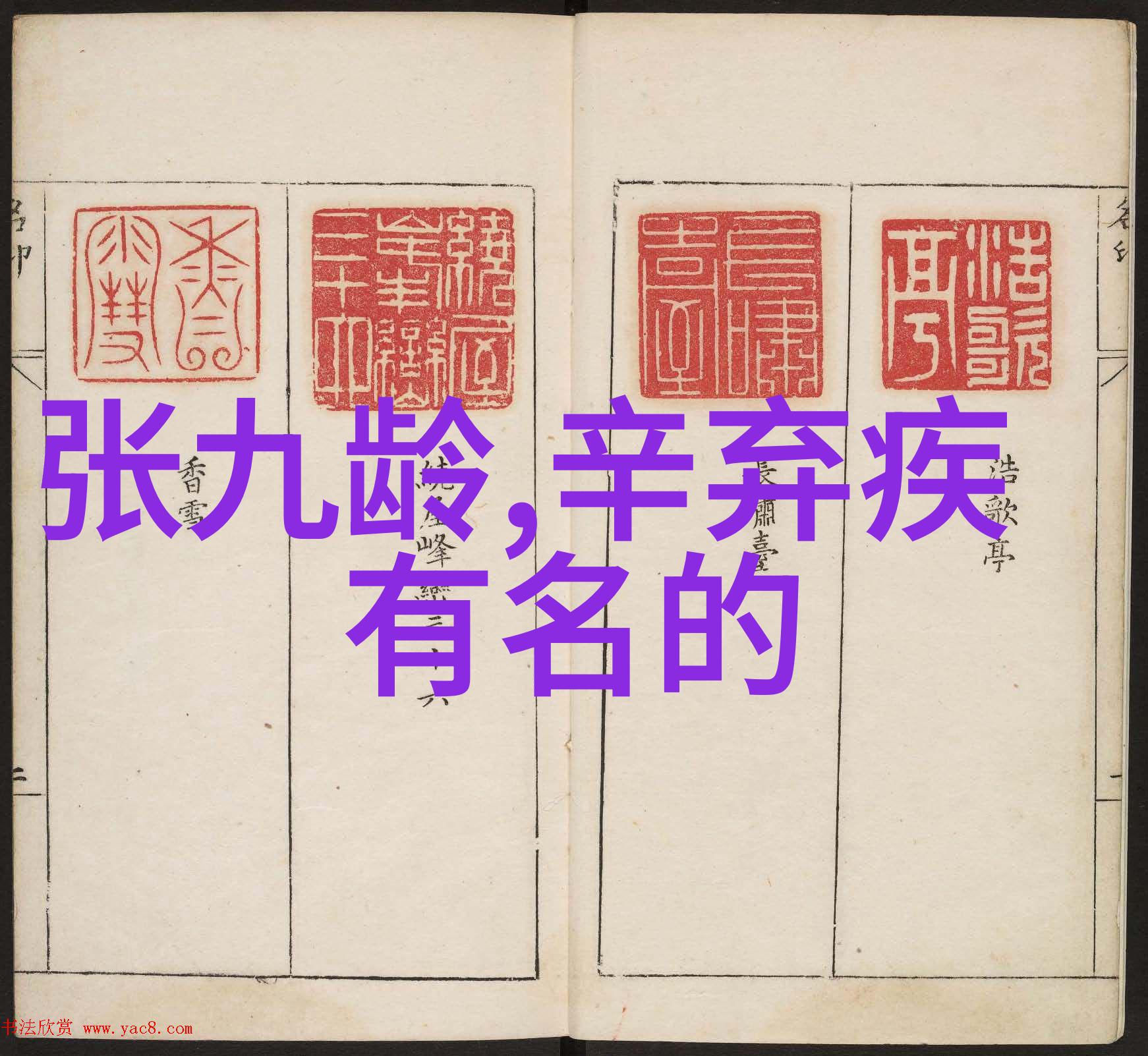 窦叔向 简介